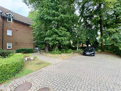 Picture 18